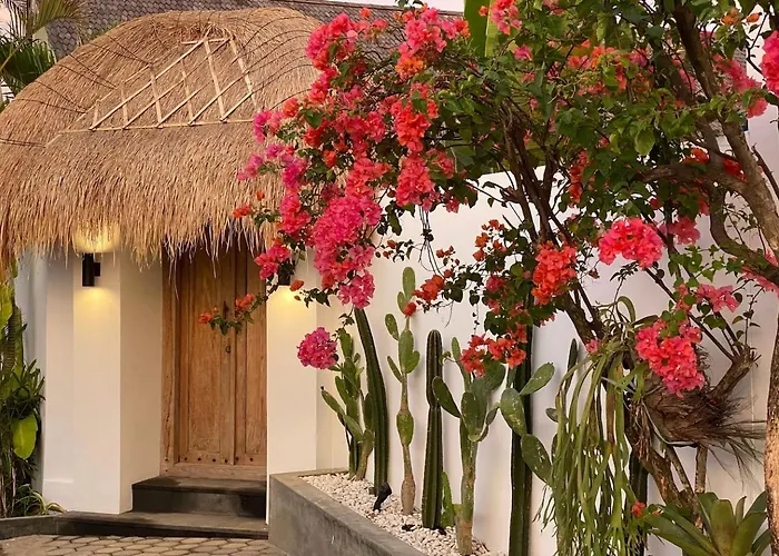 The Young - Canggu (Bali)